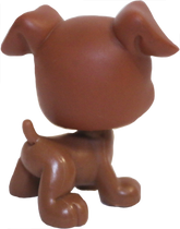 #0083 Boxer